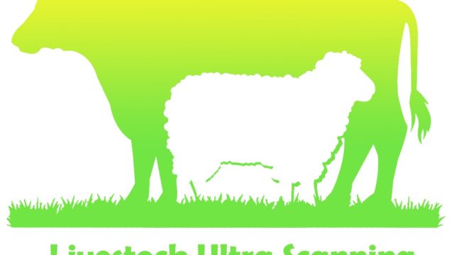 WhatsApp Image 2026-02-24 at 17.28.42